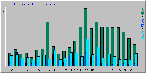 Hourly usage for June 2023