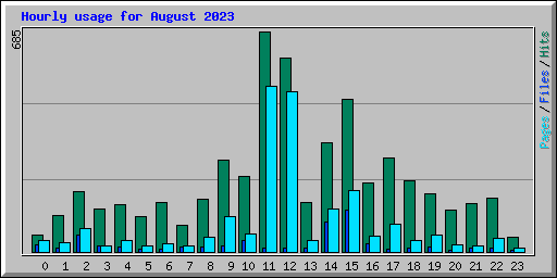 Hourly usage for August 2023