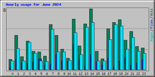 Hourly usage for June 2024