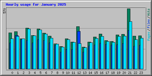 Hourly usage for January 2025