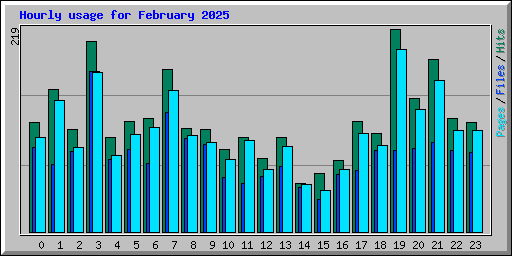 Hourly usage for February 2025