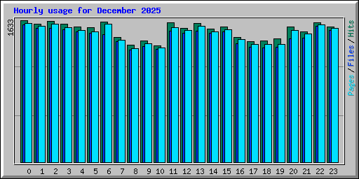 Hourly usage for December 2025